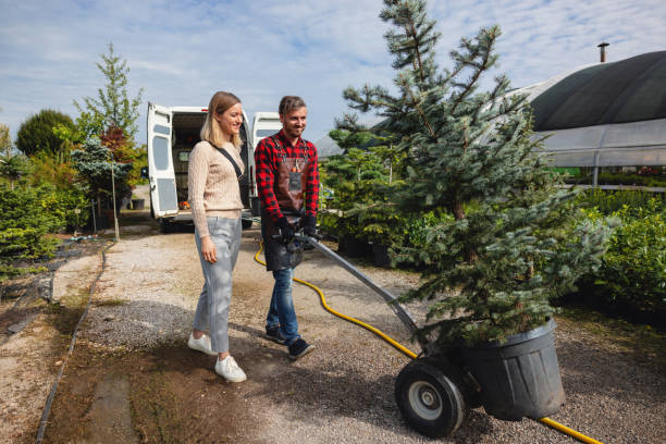 Tree Removal for Businesses in Grifton, NC